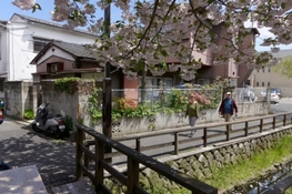 Senzokuike house outlook sakura