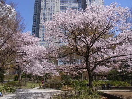 shinjuku park