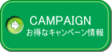 CAMPAIGN